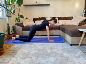 otthoni edzés; fekvőtámasz gyakorlat